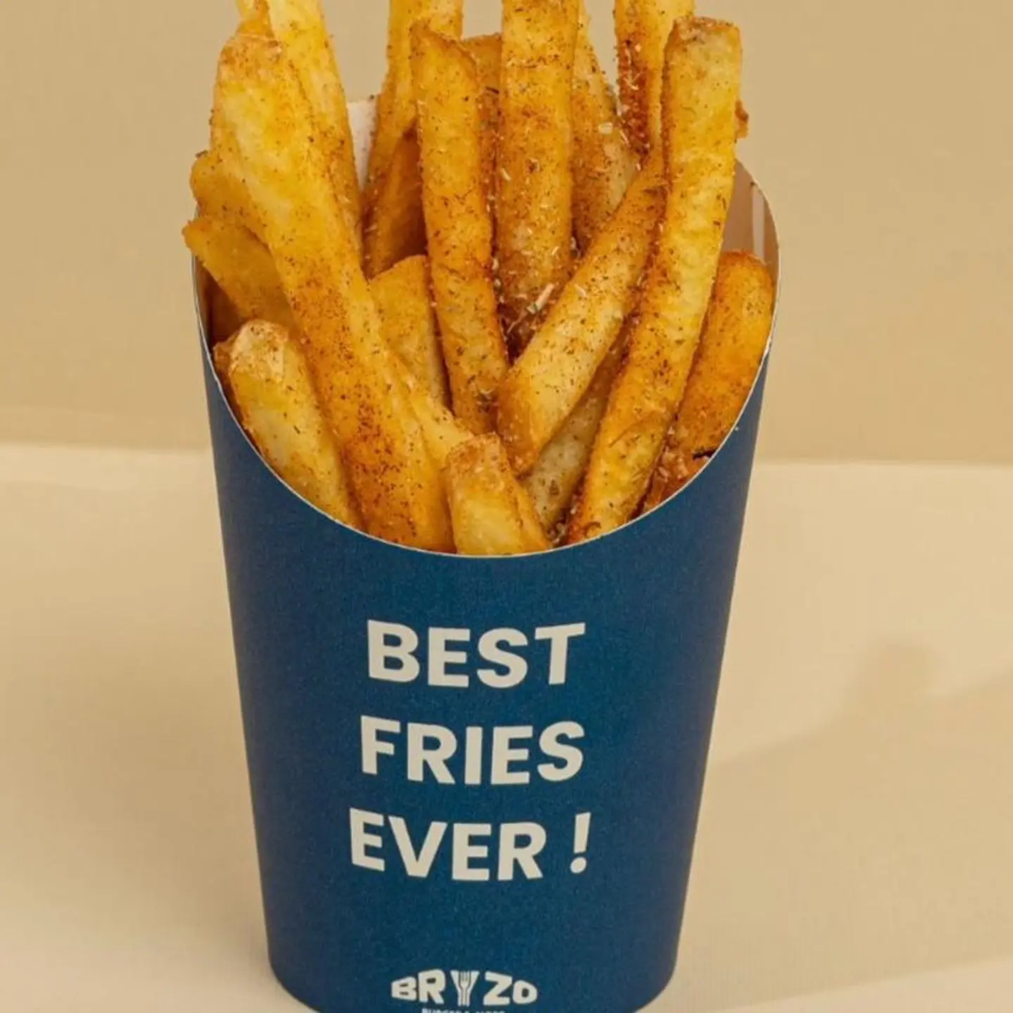 Seasoned Fries