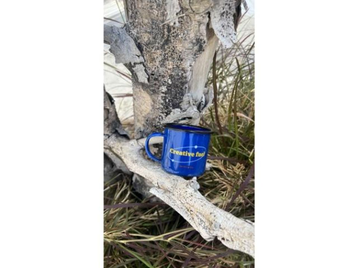 Creative Fuel Cup