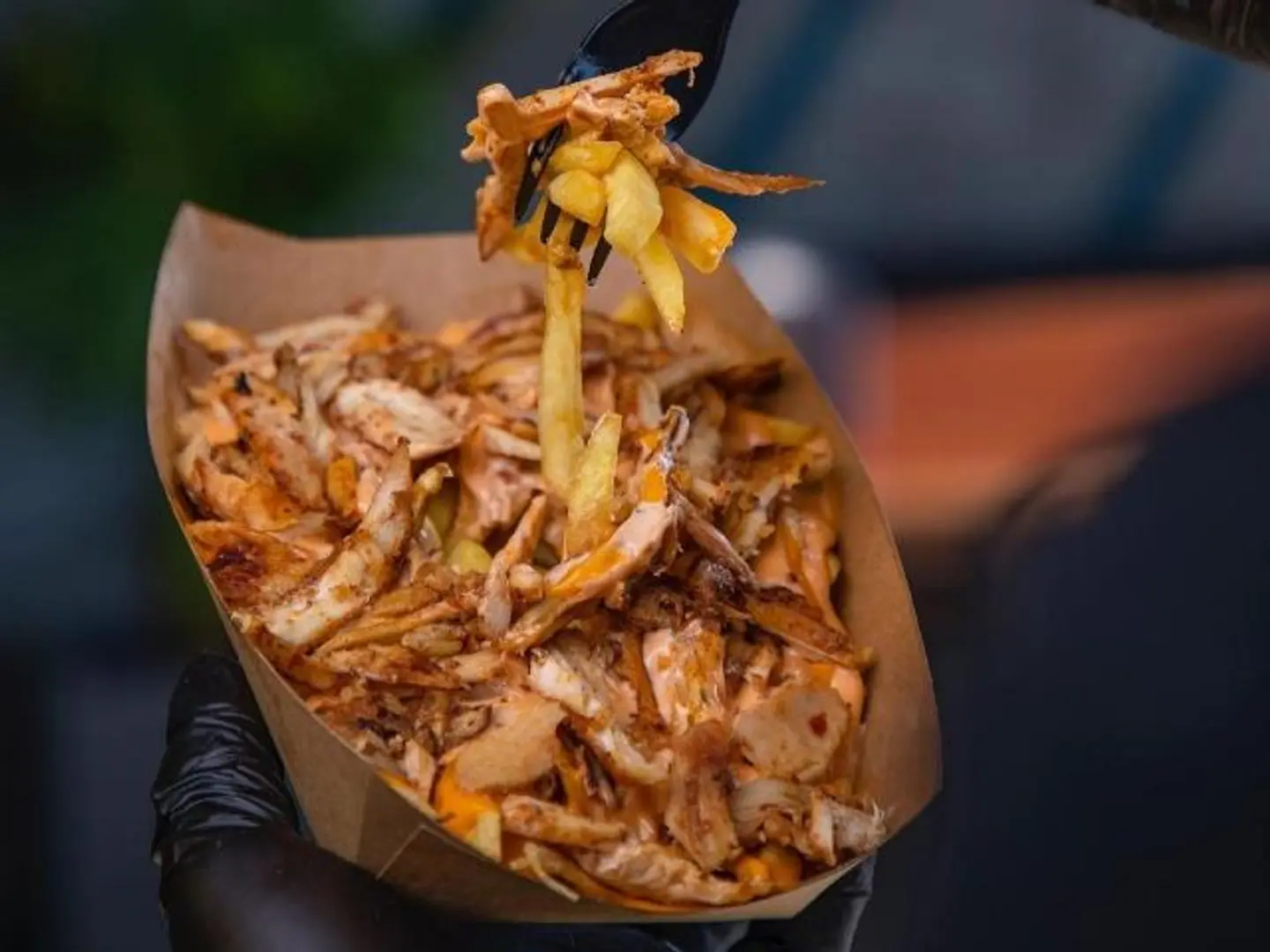 Shawarma Plate
