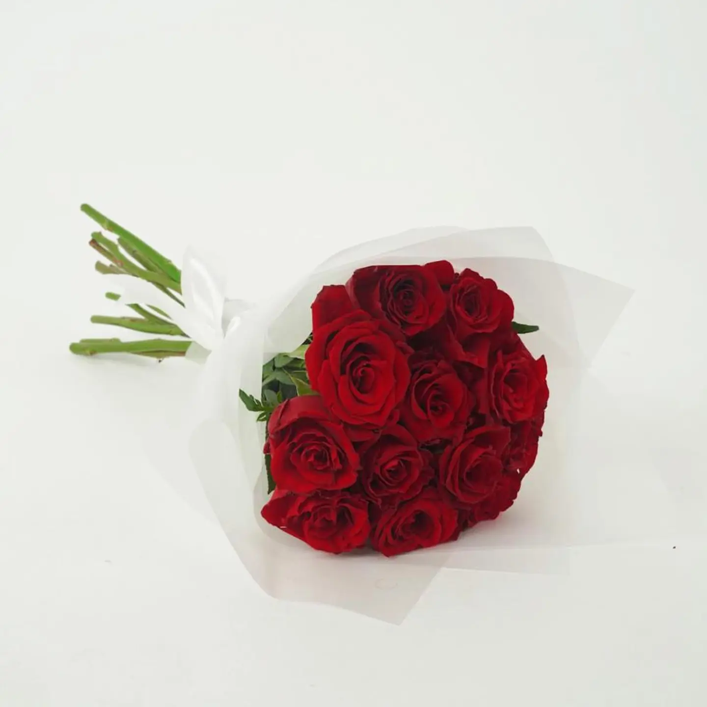 باقة انت الشمس التي تشرق في قلبي كل صباح احبك اكثر من كل شيء في هذا العالم الواسع