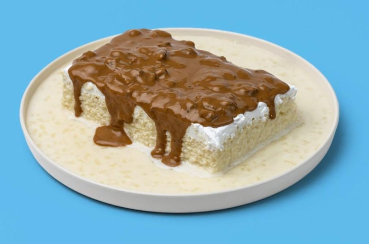 قشطوطة البيكان