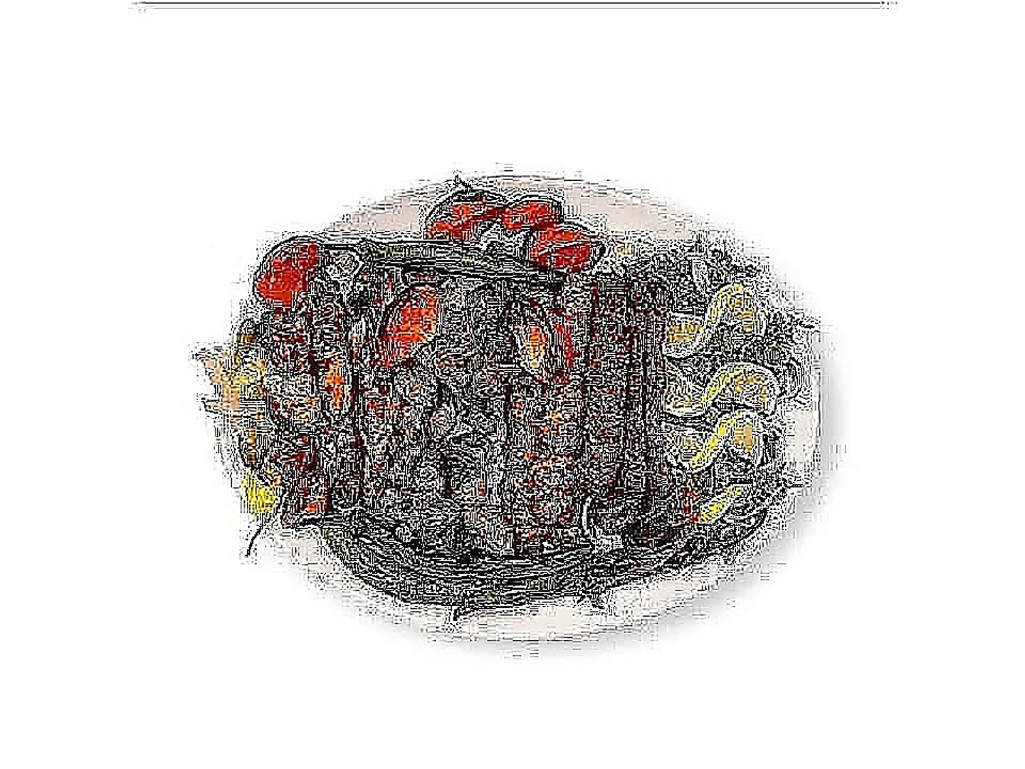 مشكل ليالي الدمشقي حلبي