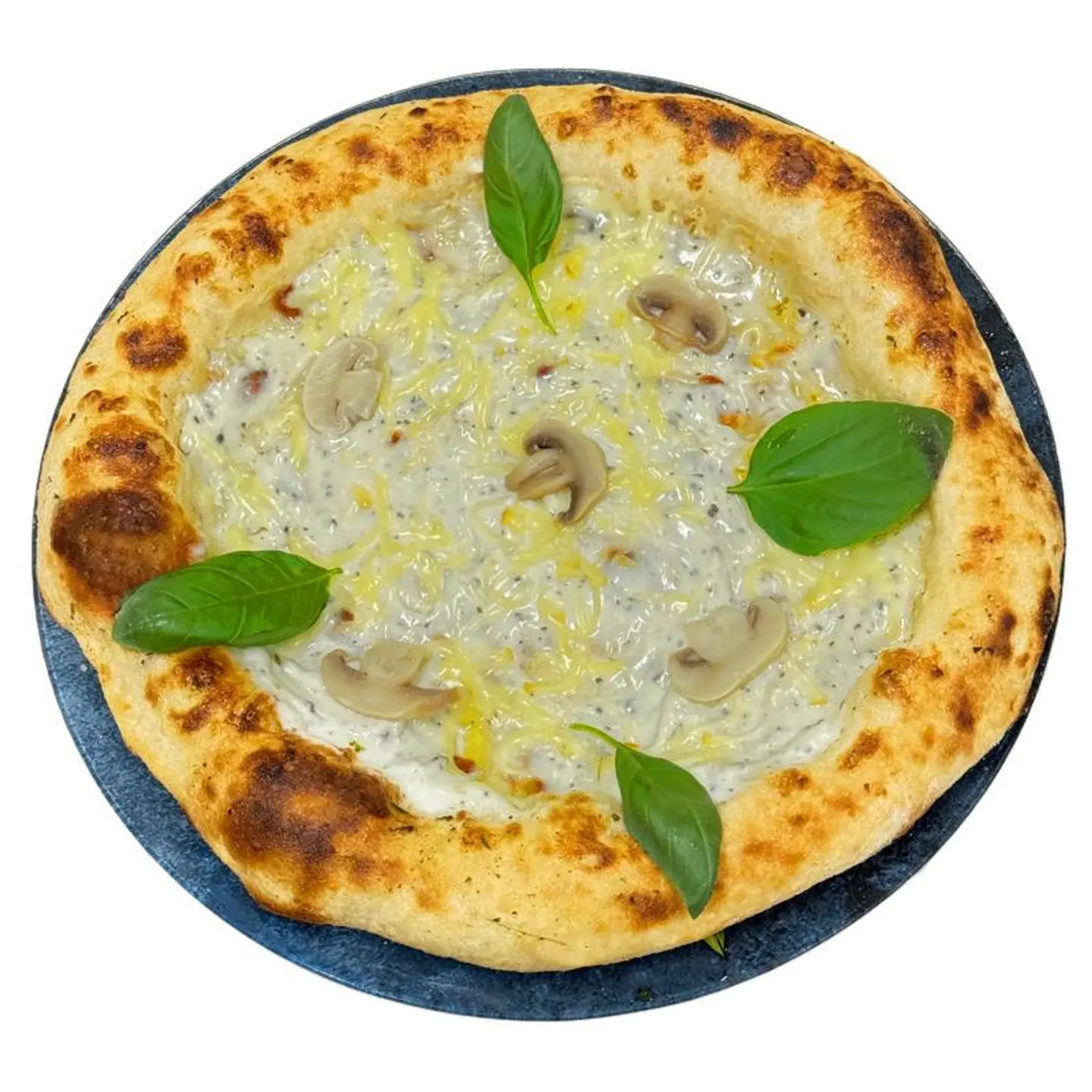 Travel Pizza