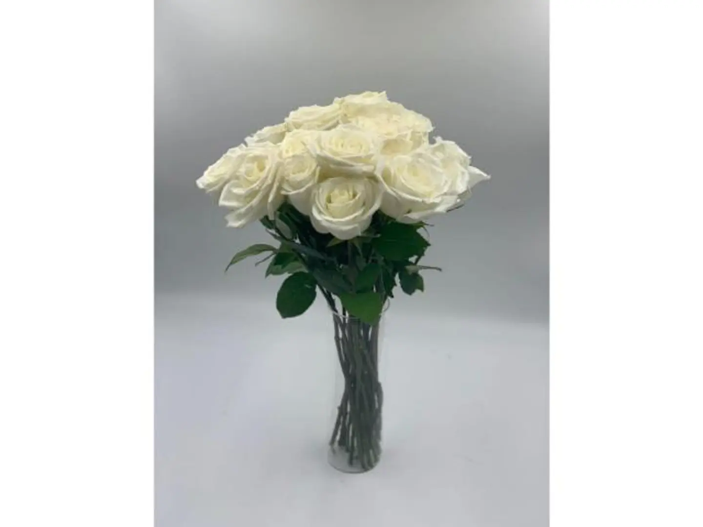 White Rose Vase