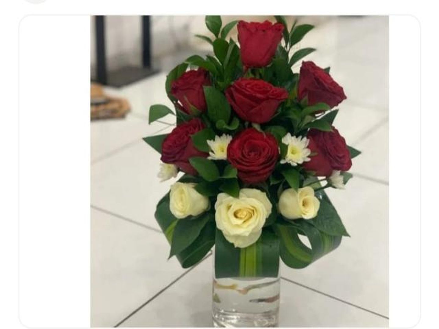 فازة بوفارديا