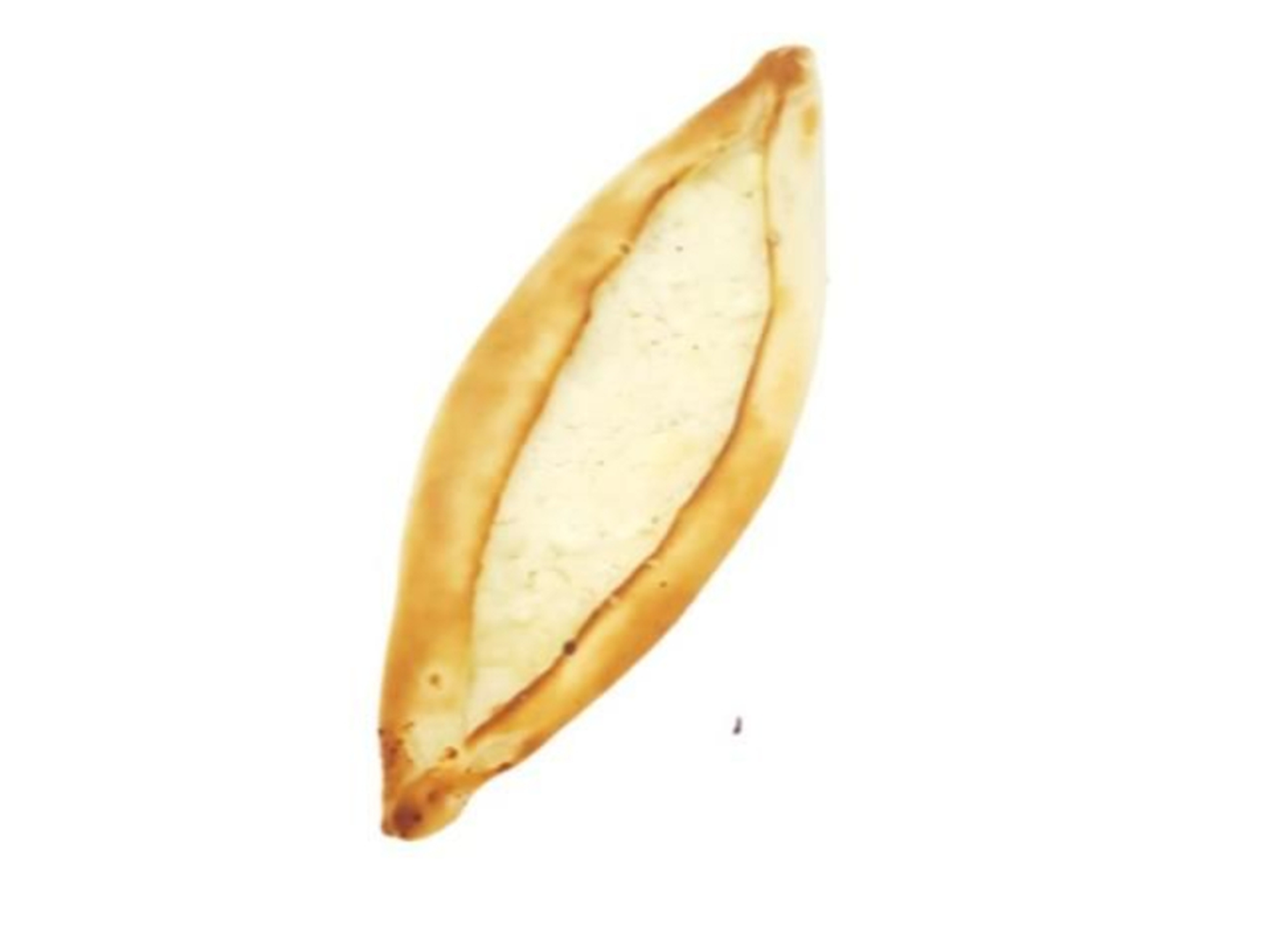 Plain Cheese