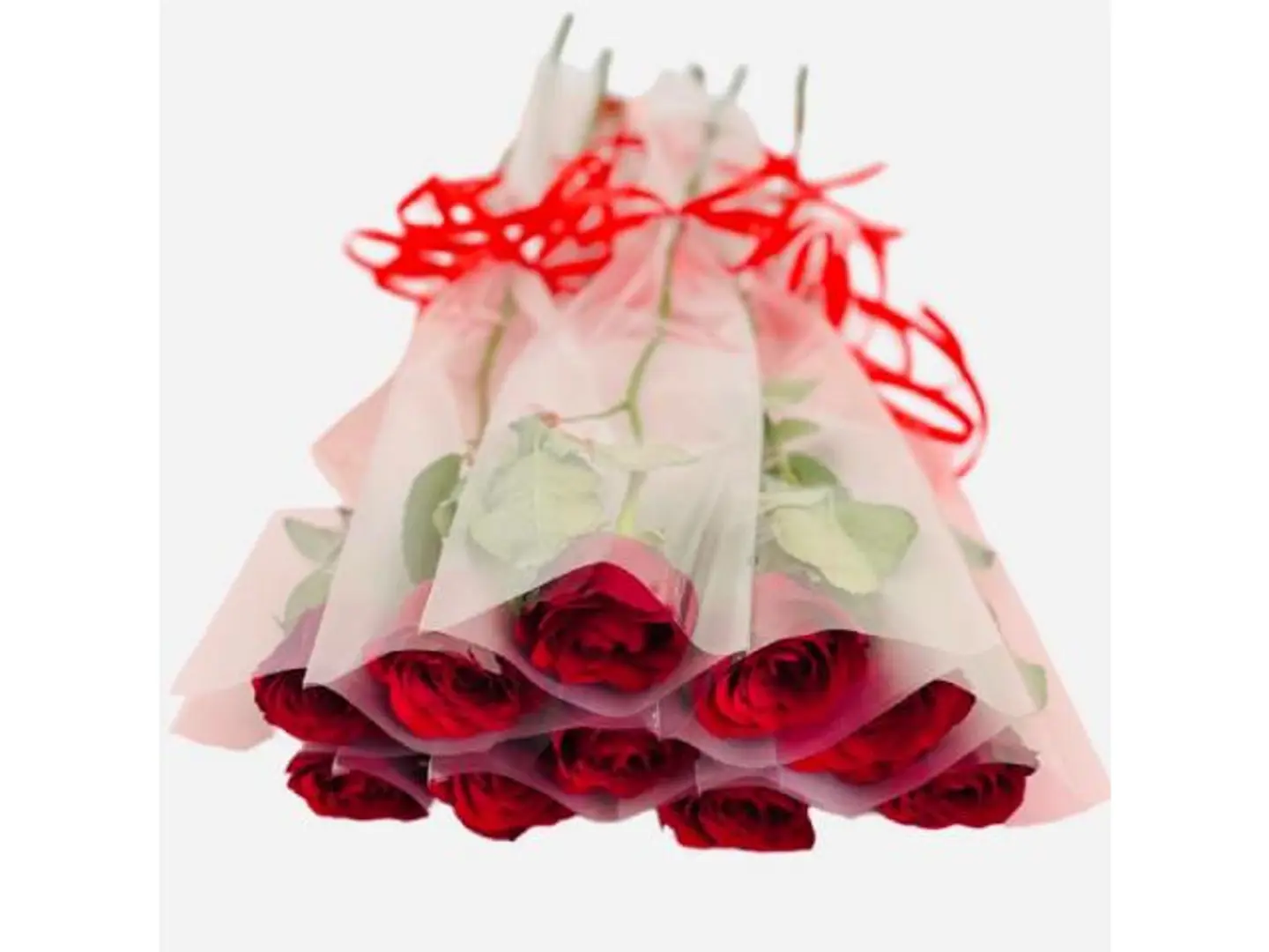 Single Roses 10 Stem 248