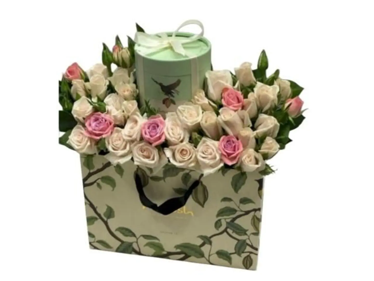 Anoush Box 4