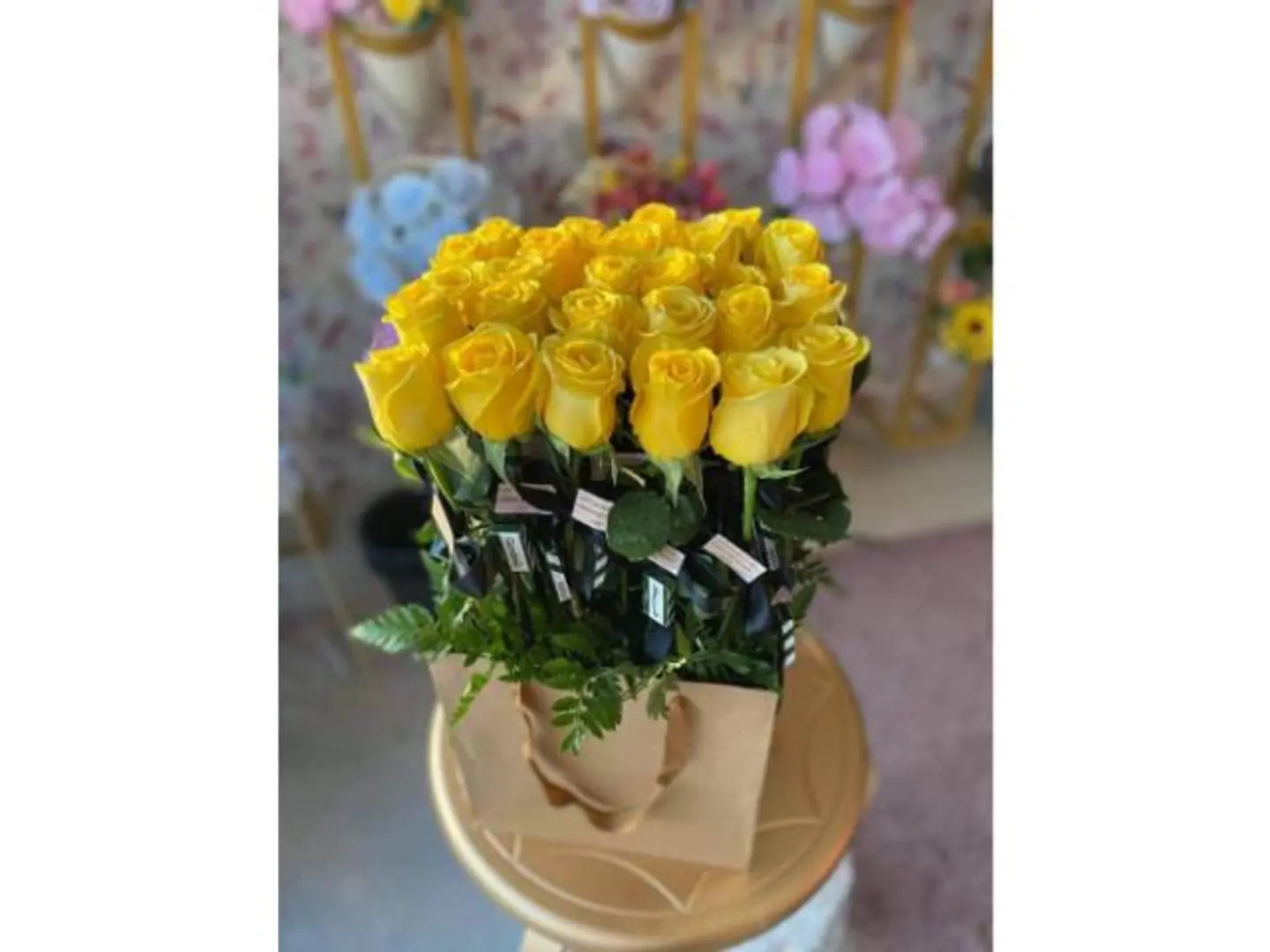 Yellow Rose Distributions