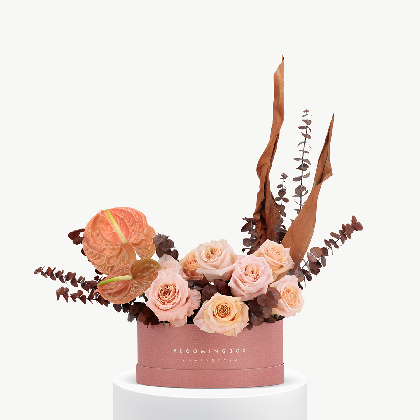 Kouyou Short Assortment