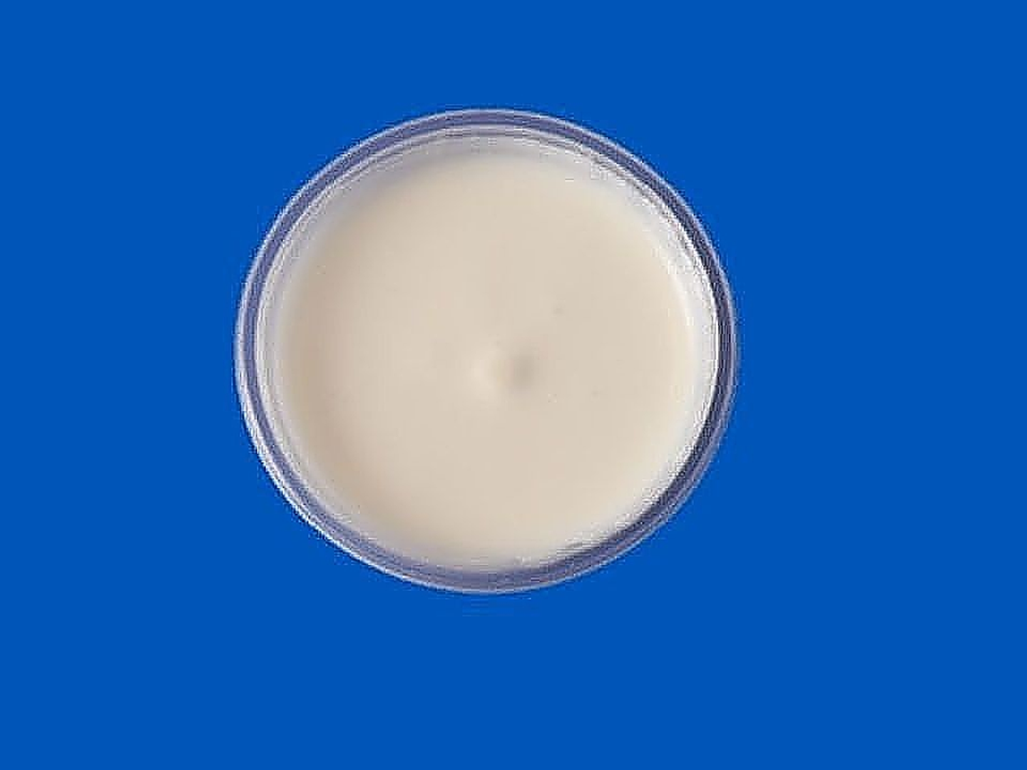 R1 Garlic Sauce