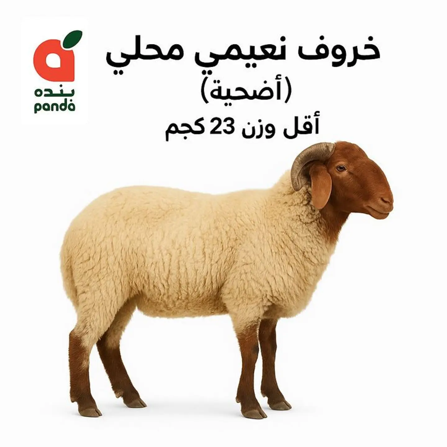 Fresh Naimi Lamb Local (Adhia) Min Weight 23 Kg