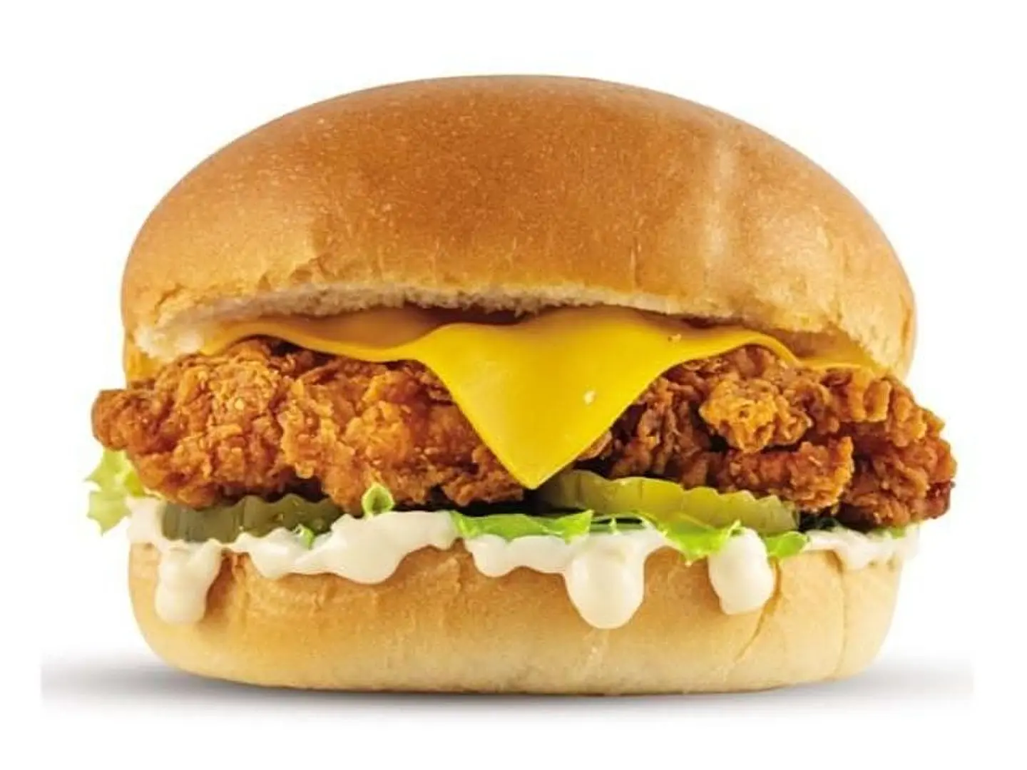 Crispy Chicken Burger