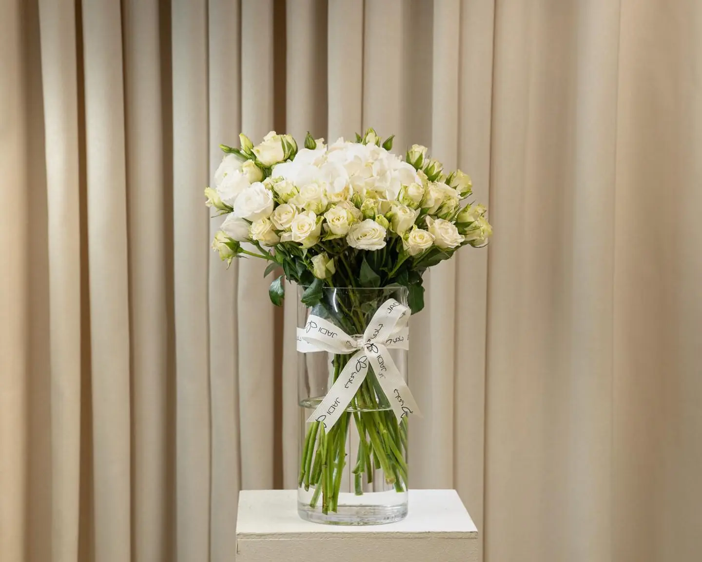 فازة اوريليا