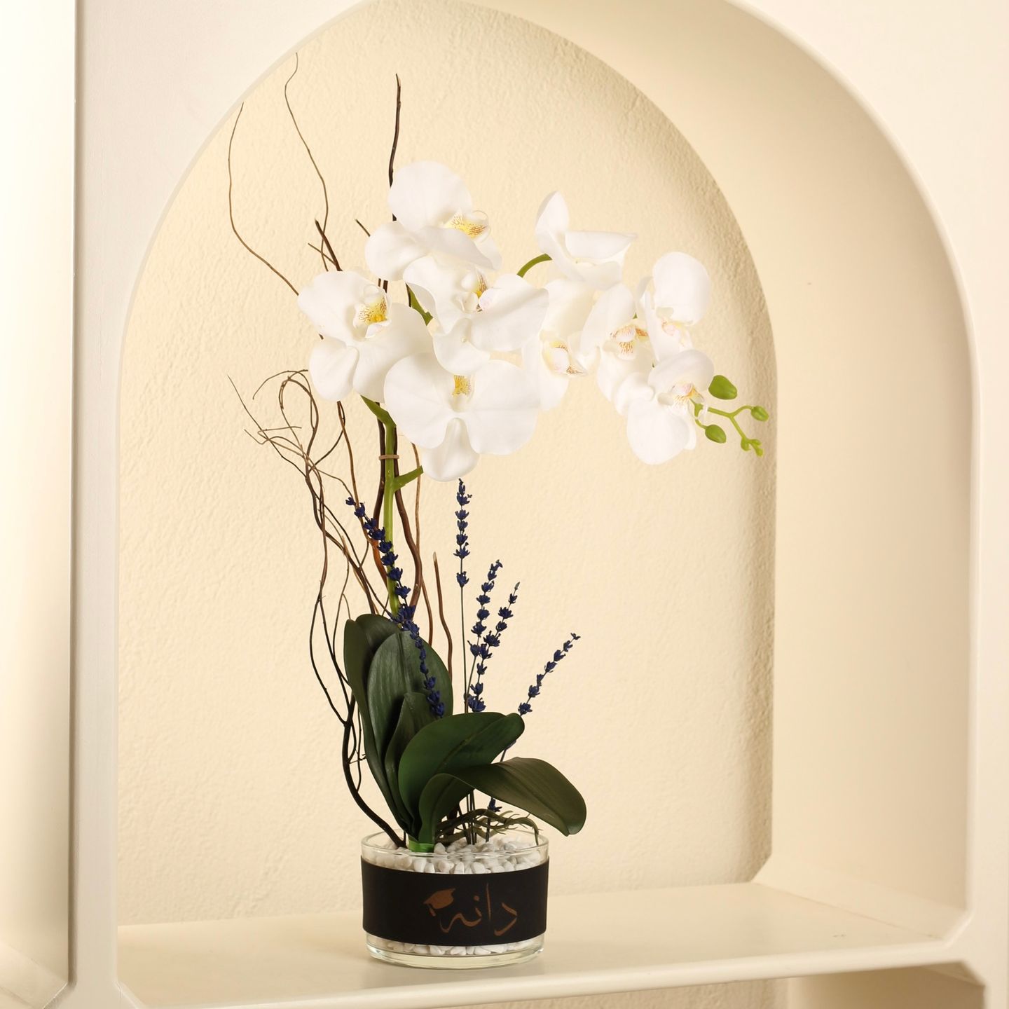 Graduation Orchid
