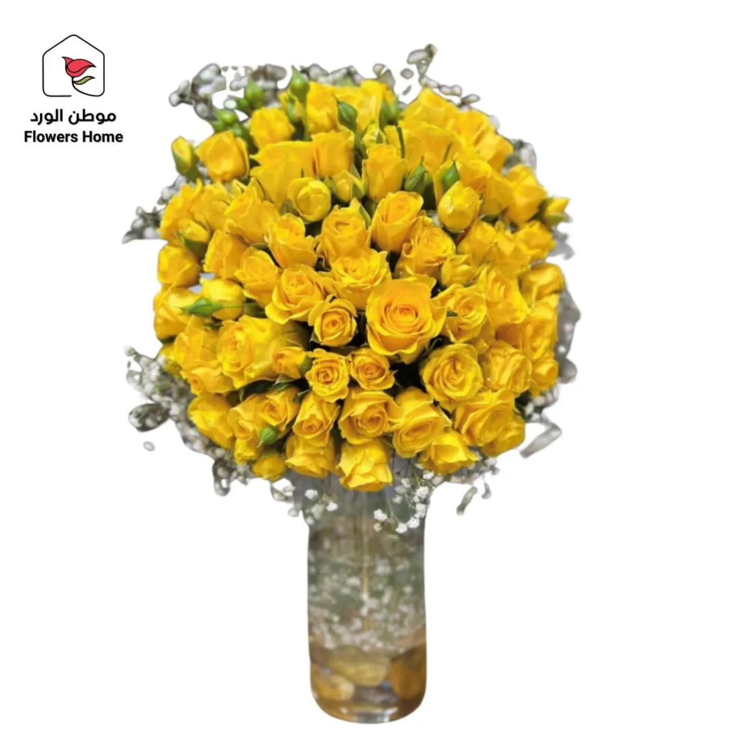 فازة 7