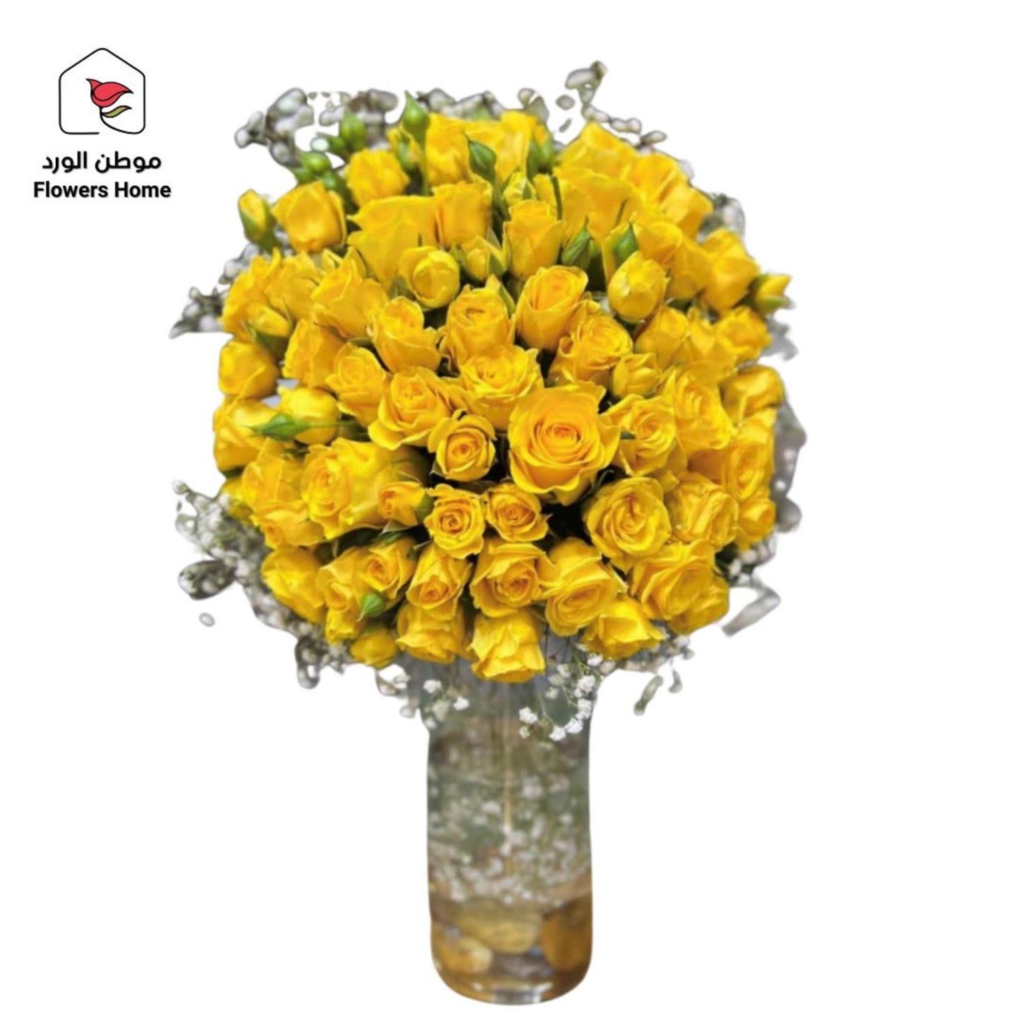 فازة 7