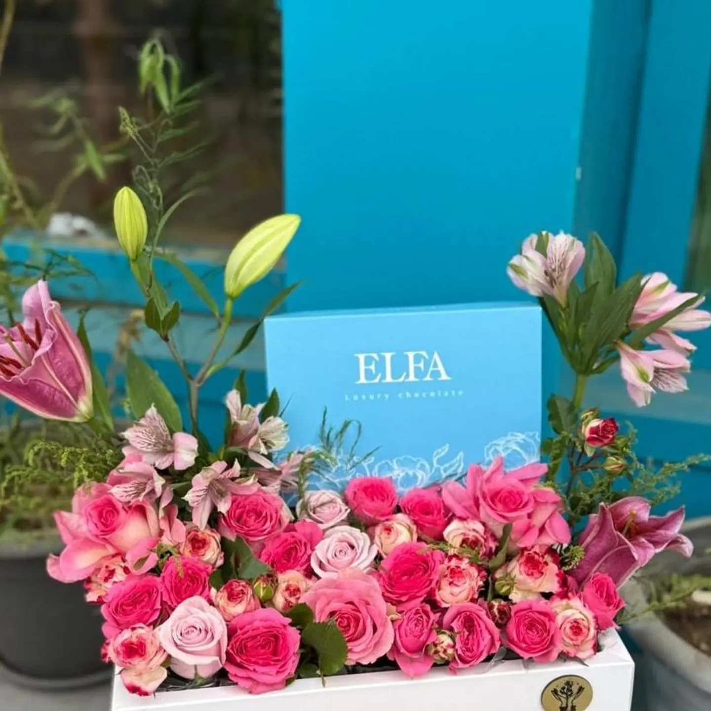 شوكلت مع ورد3