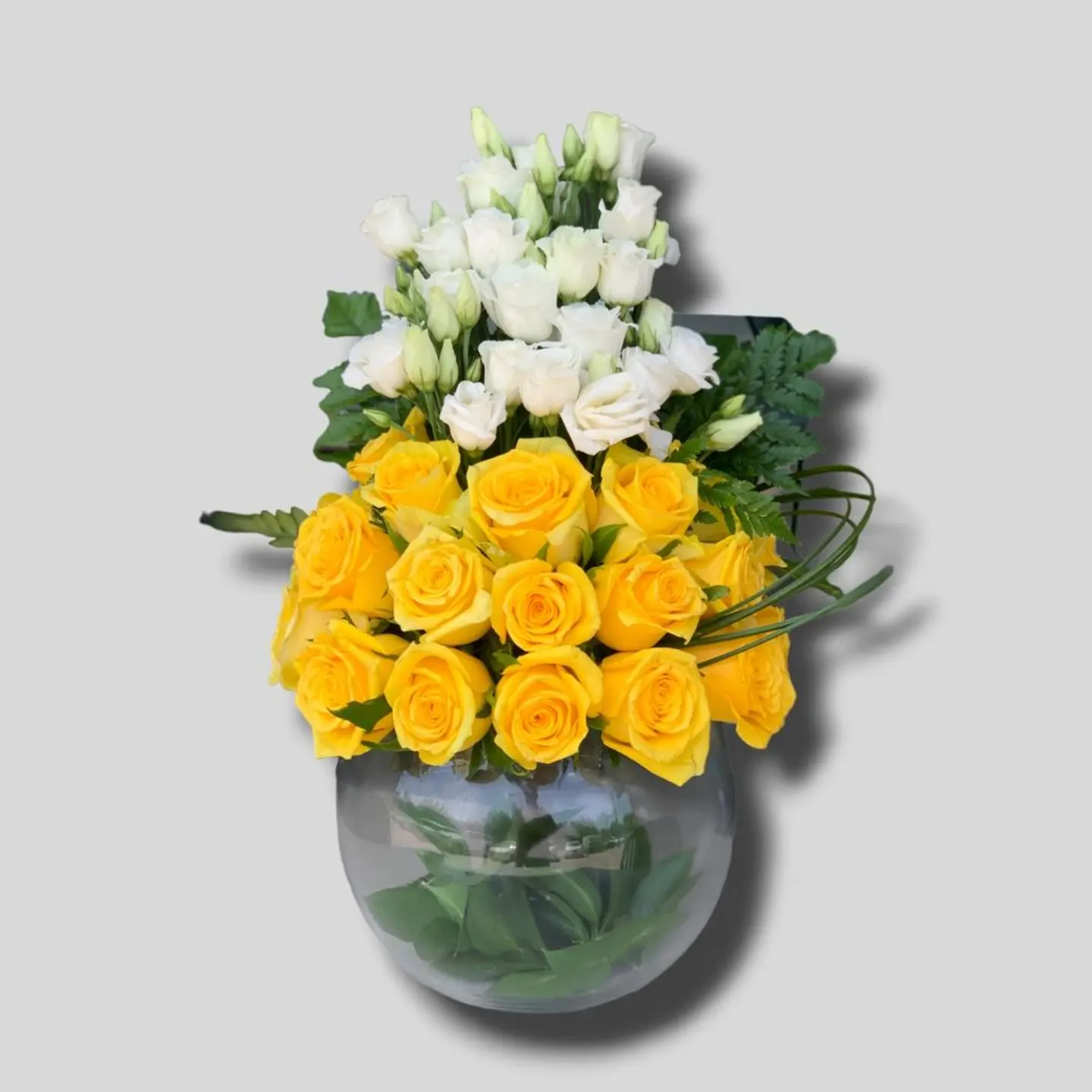 فازة التألق