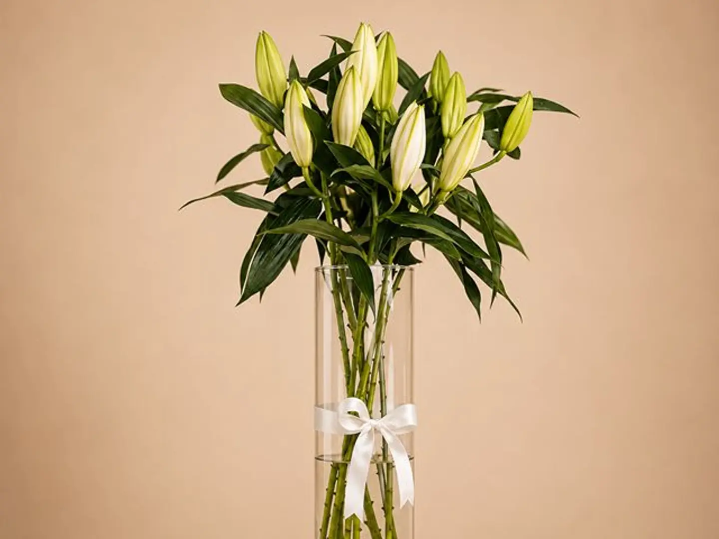 White Casablanca Magic Vase