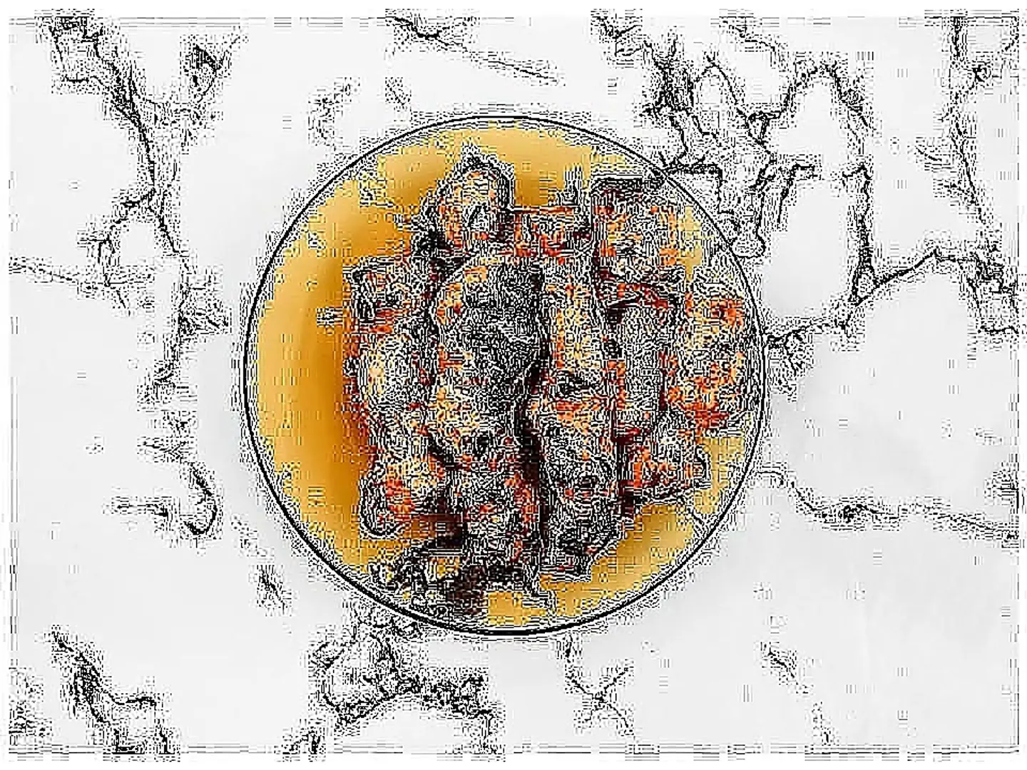 نفر شيش طاووق