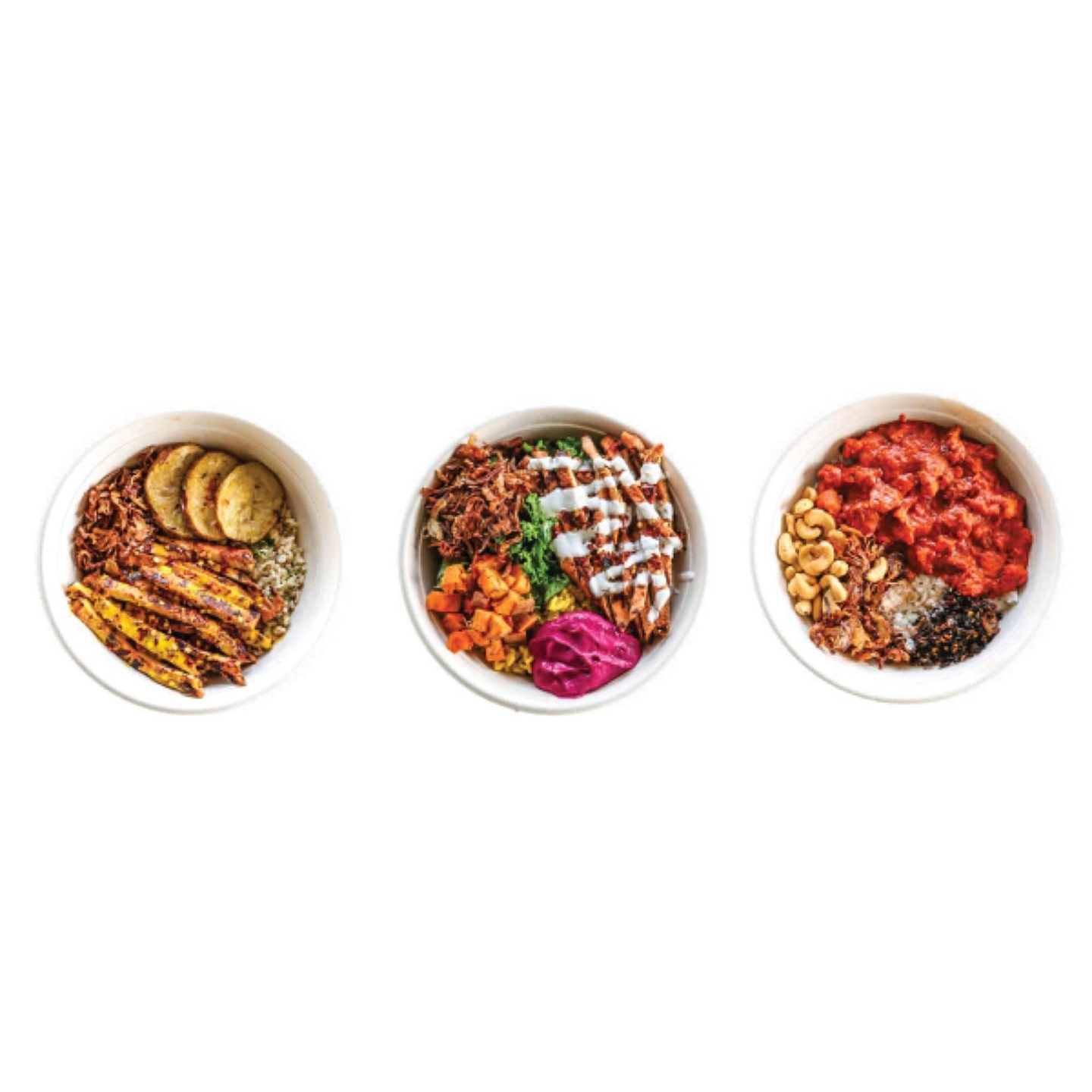 Make Your Own Protein