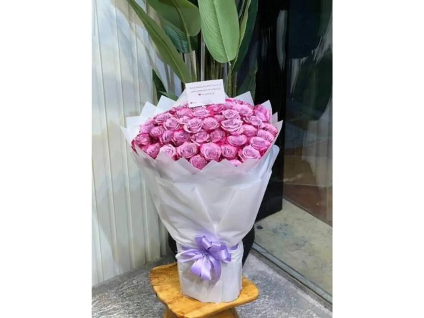 Lilac Princess