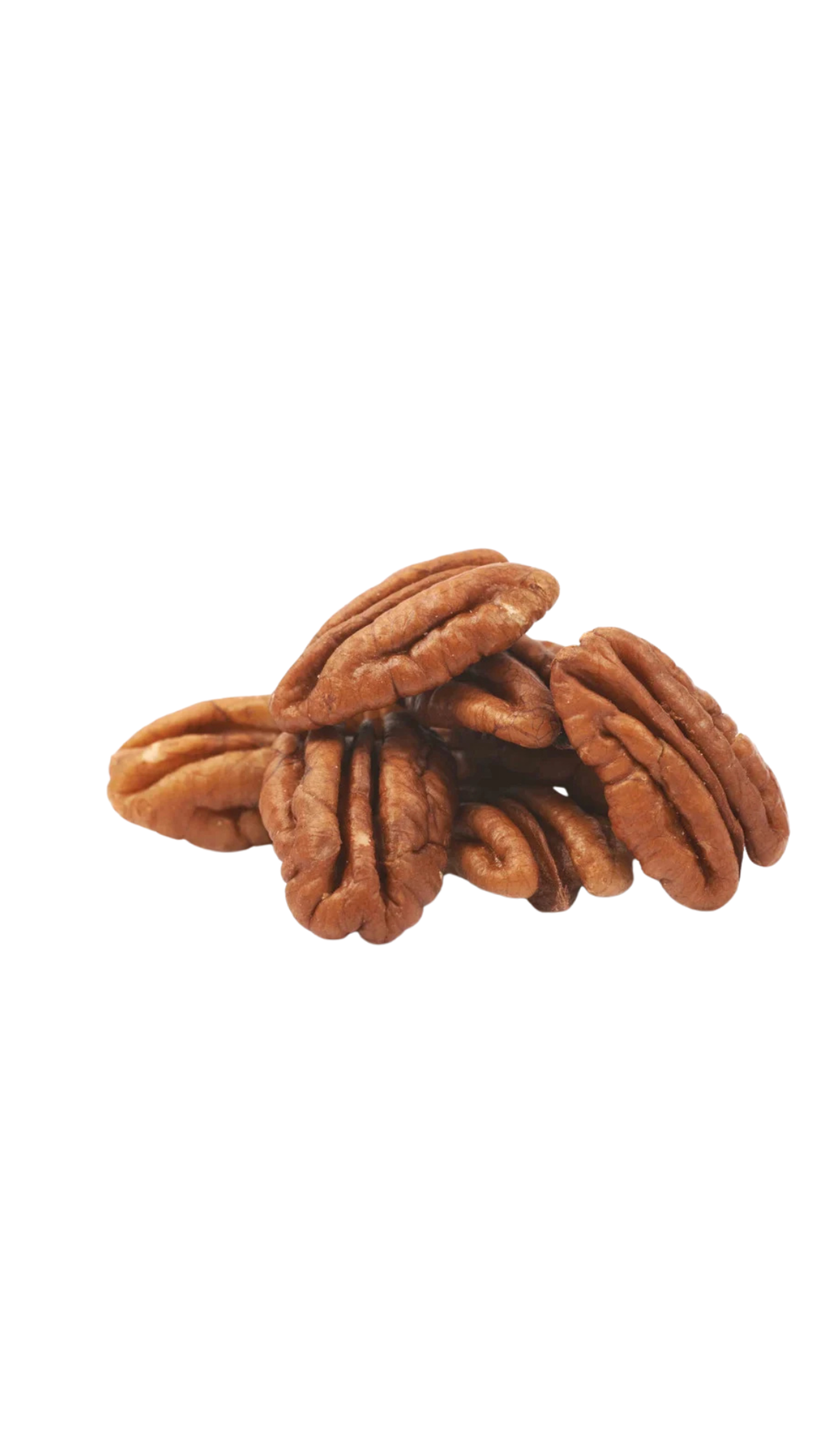 Pecan