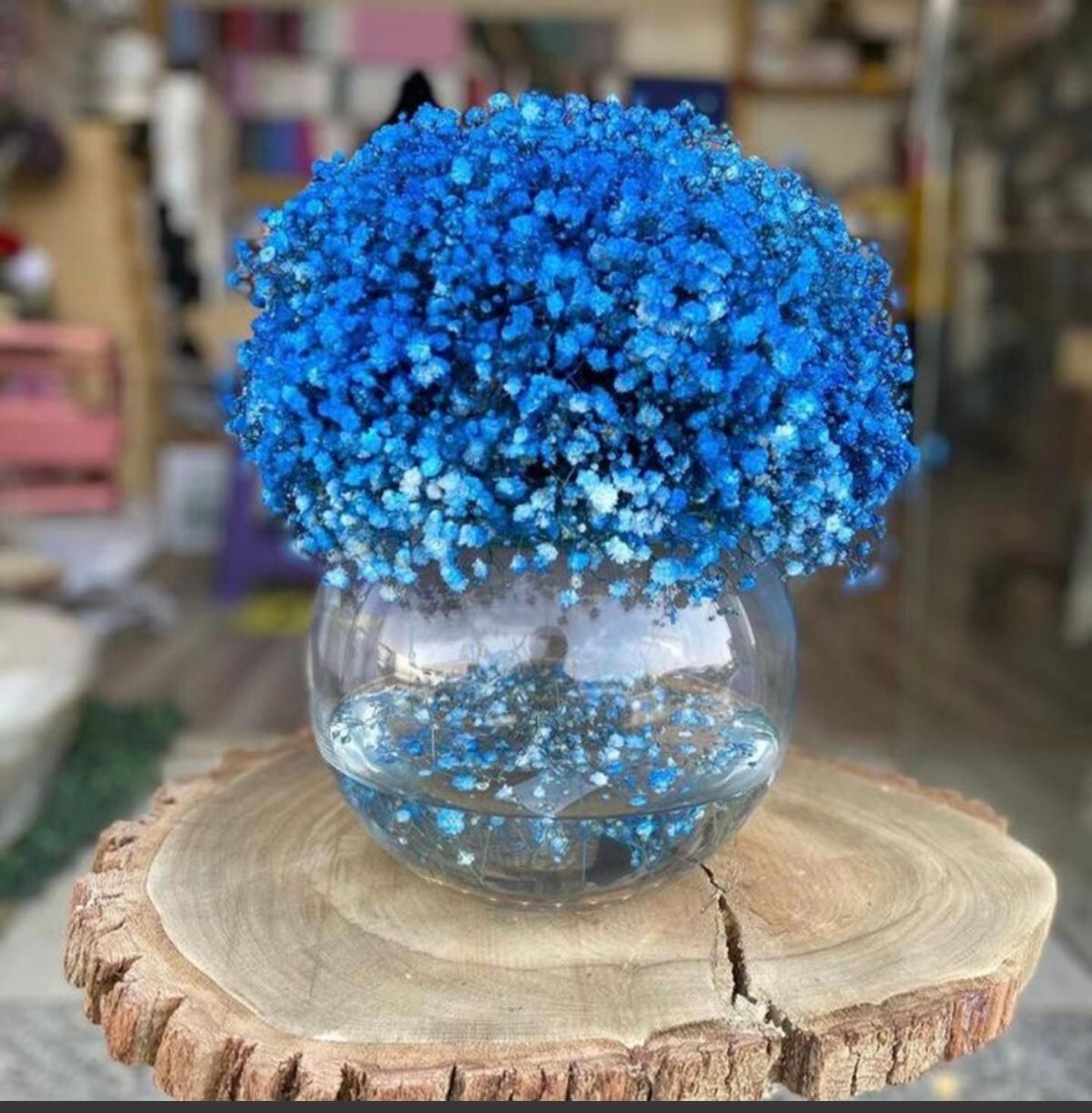 Blue Star Vase