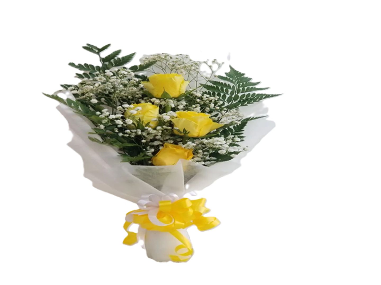 Yellow Rose