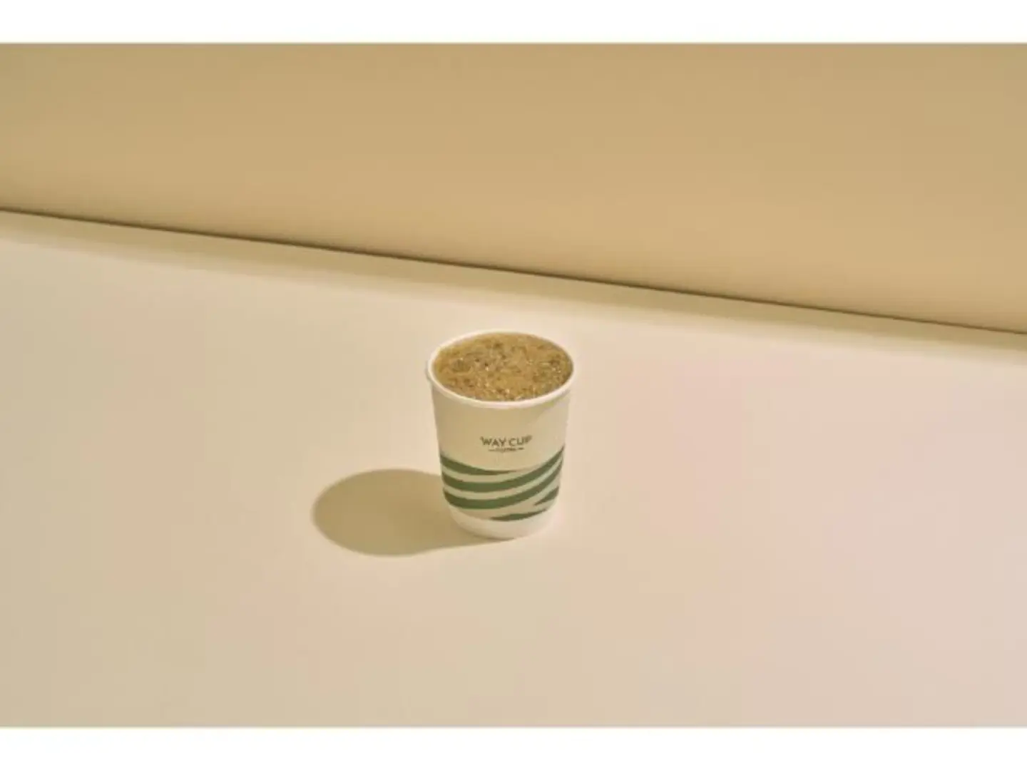 Medium Coffee Of The Day