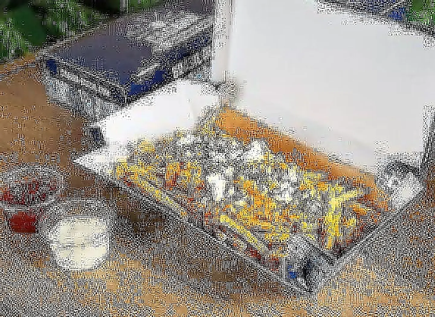 » إسكويت « بطاطس