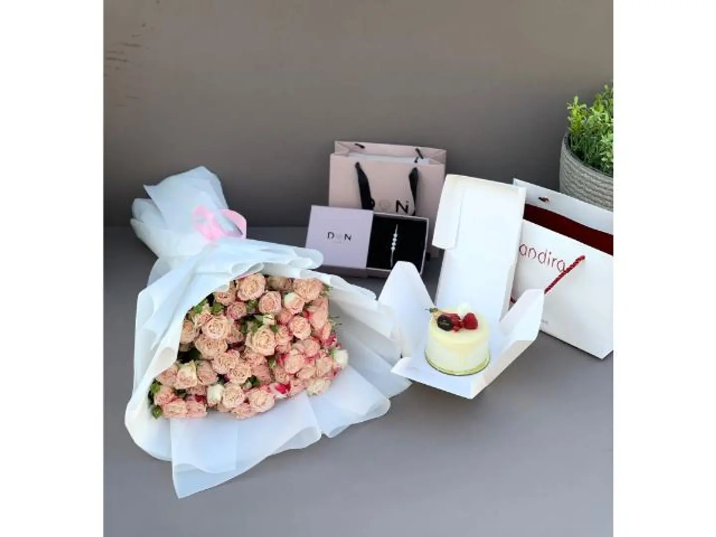 اسواره فضه دان مع بوكيه