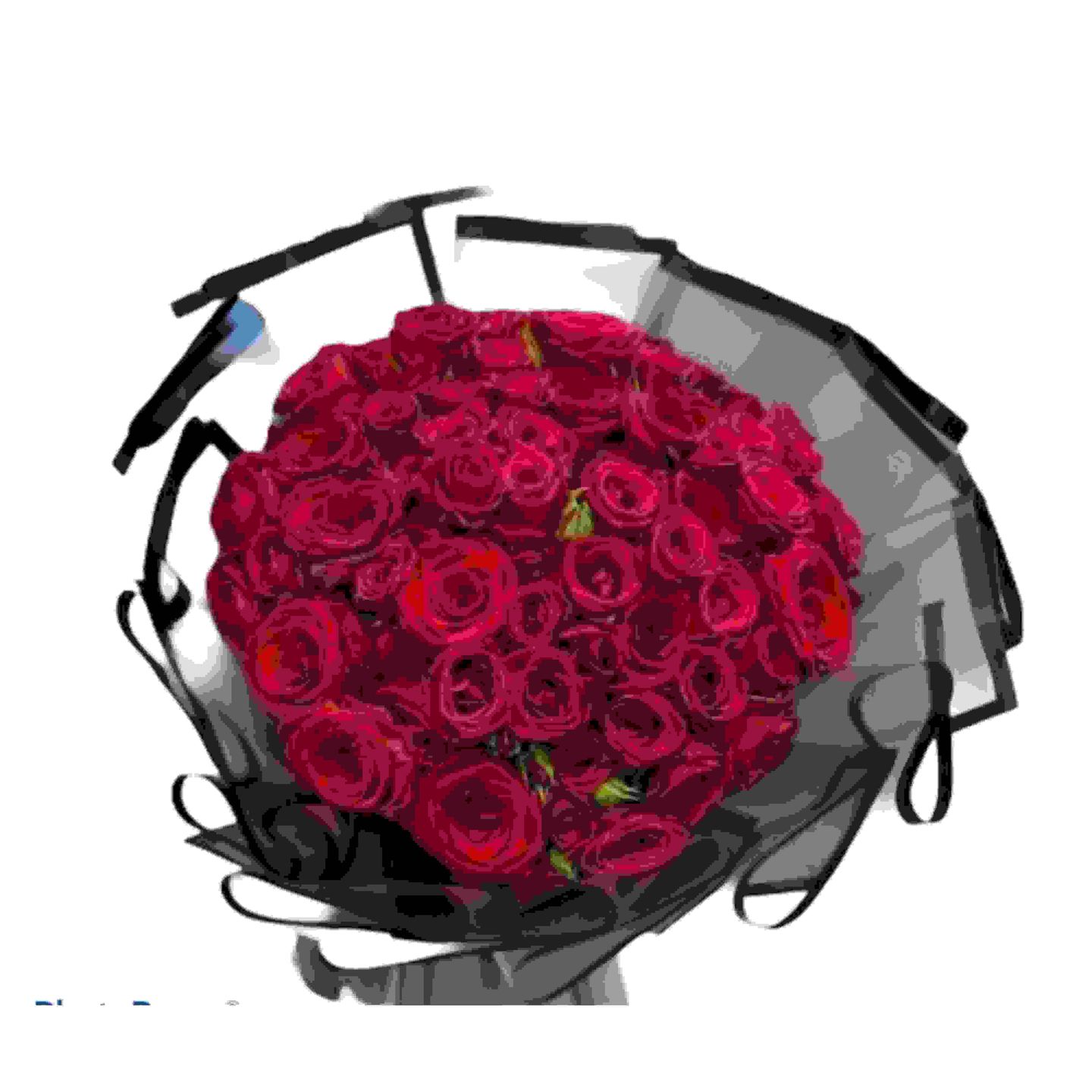 Morjan Bouquet