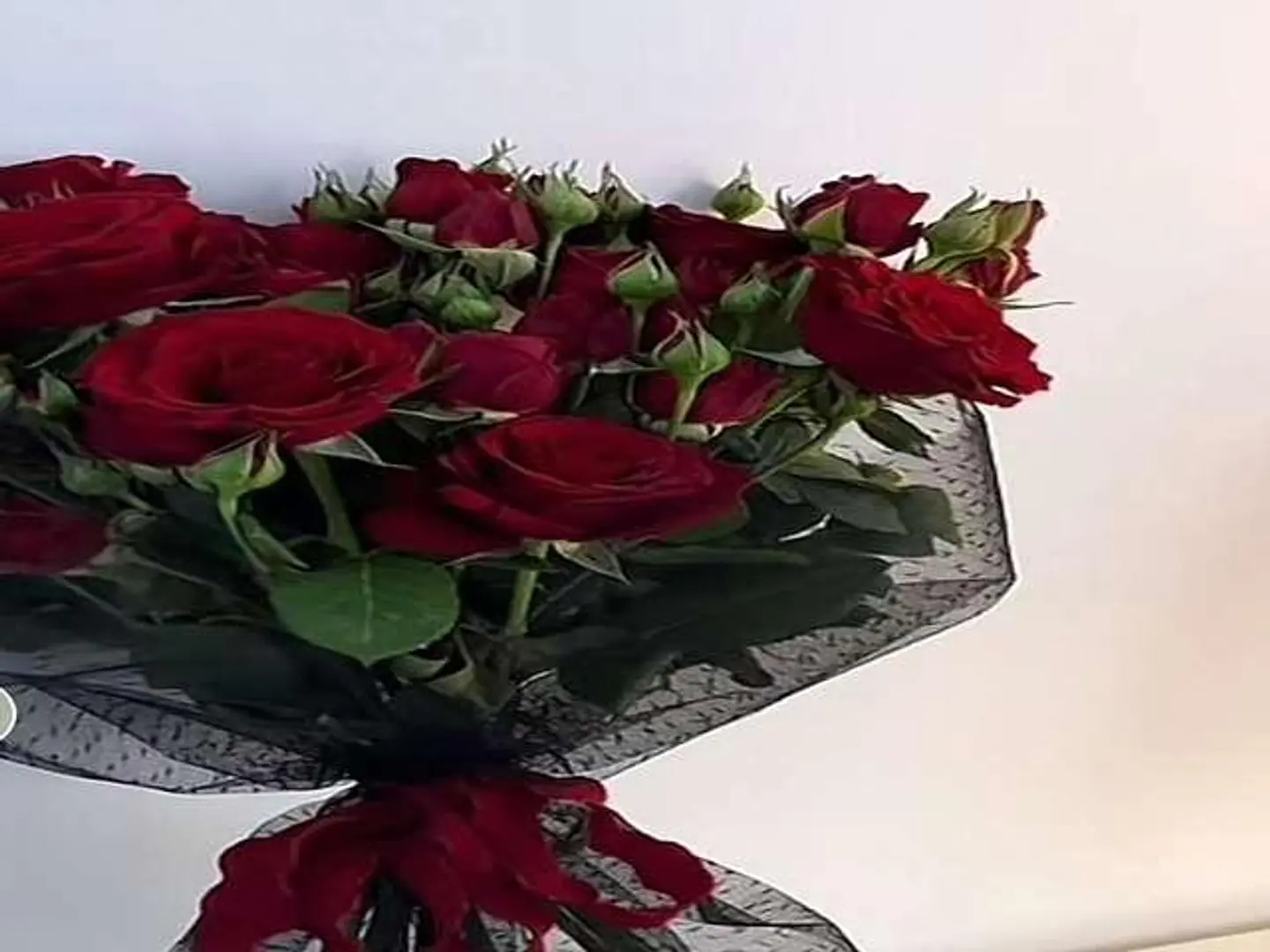 الحب البريئ