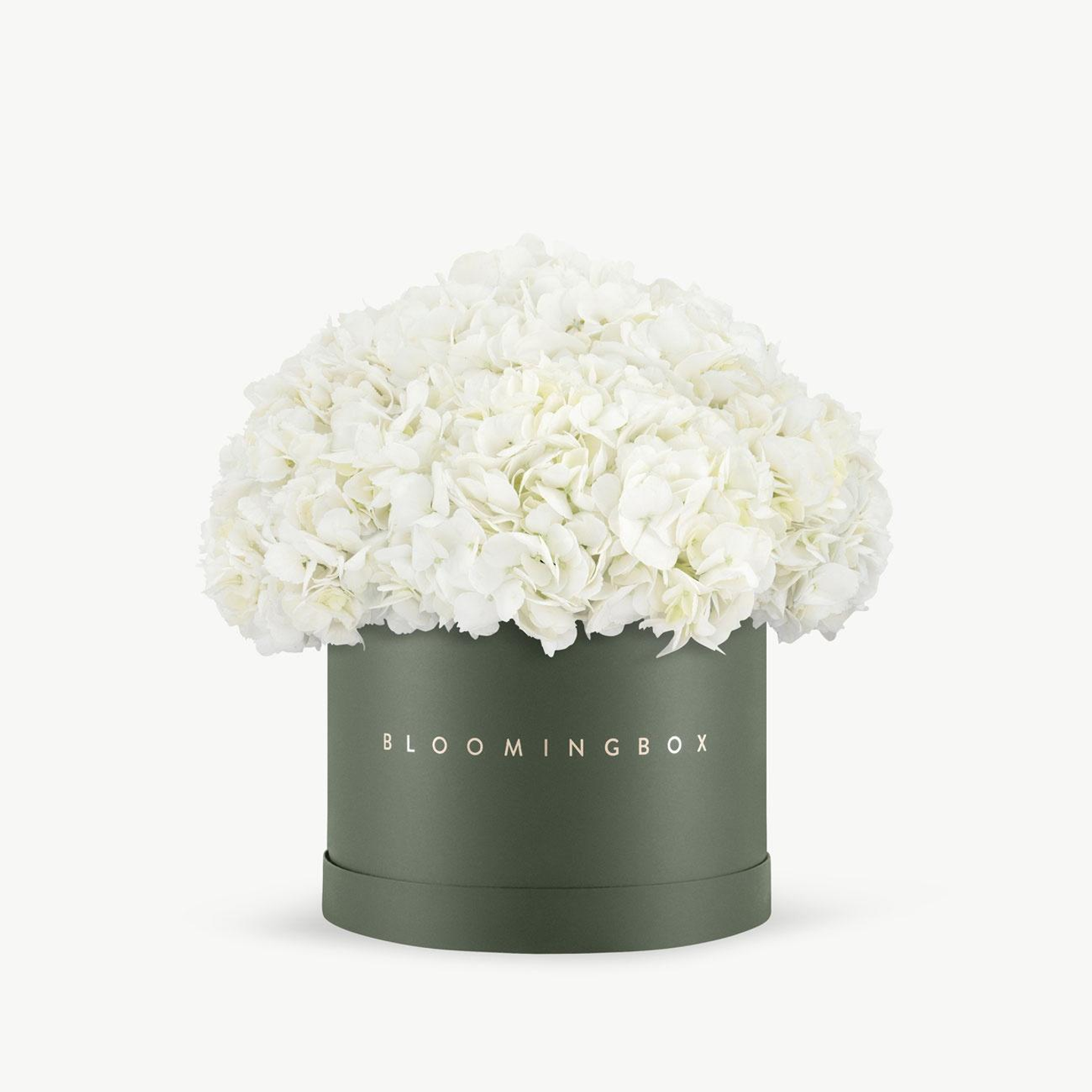 Classic Hydrangeas Box Large