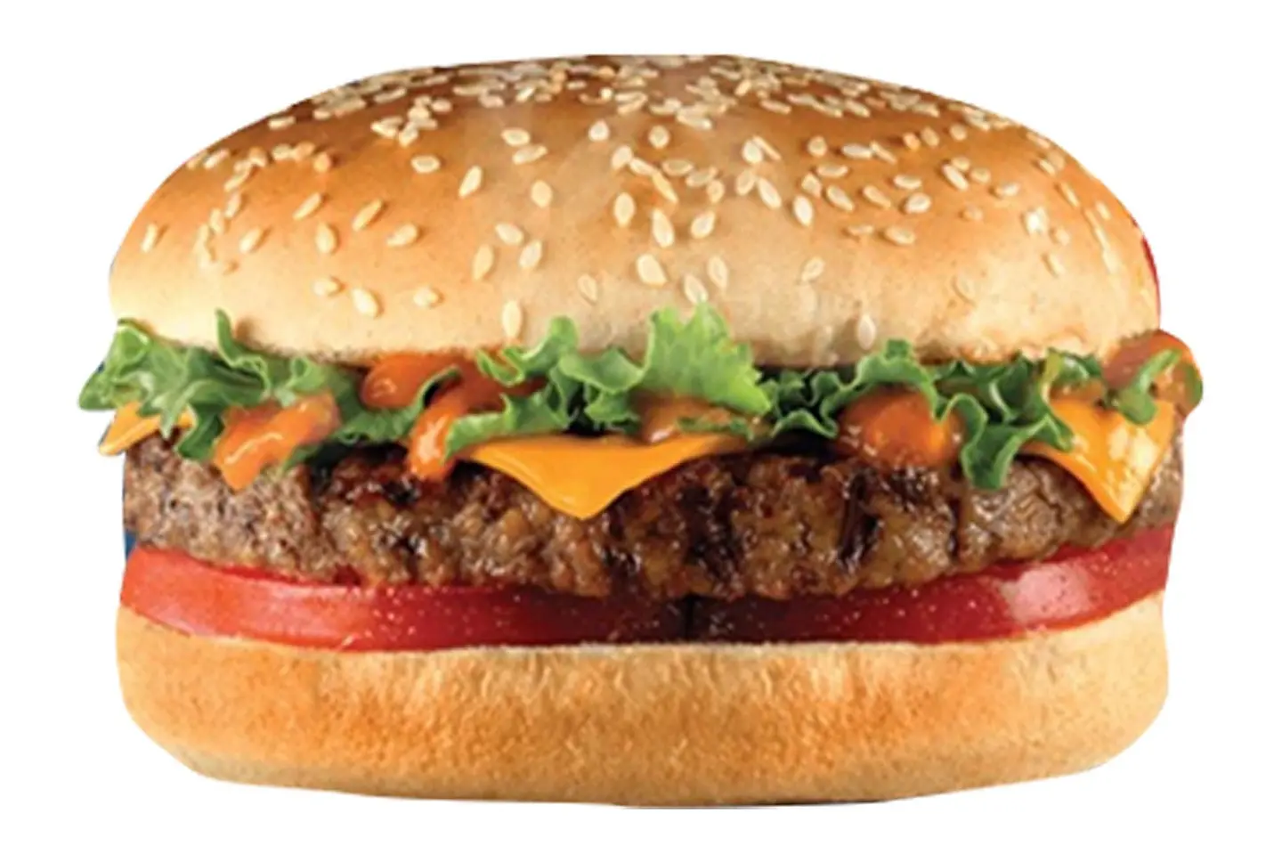 Beef Burger With Cheese