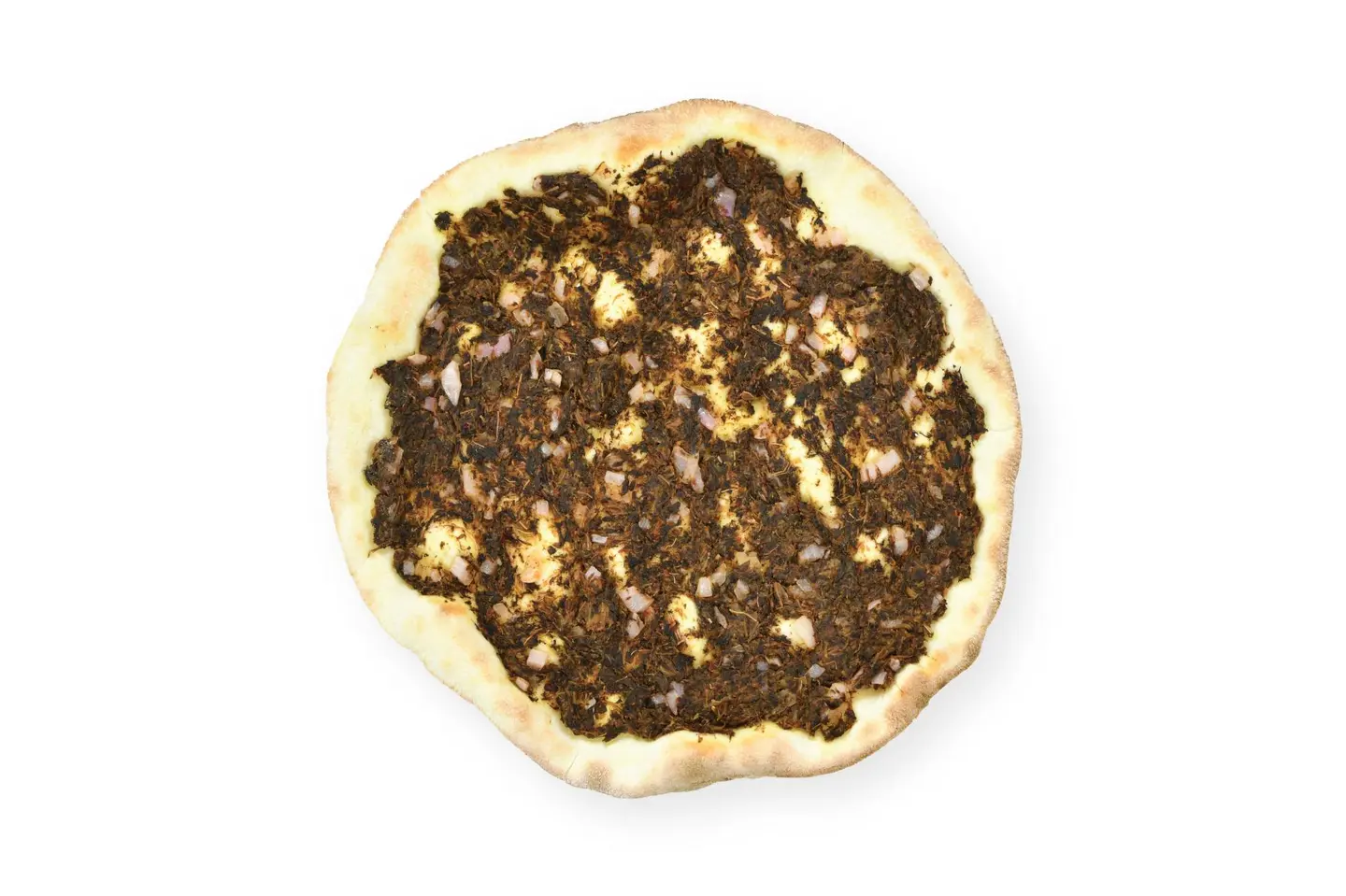 Manoosha Spanich