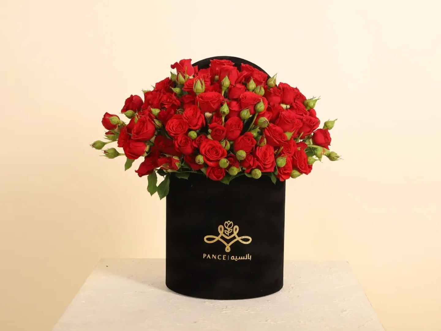 Pance Box Baby Rose