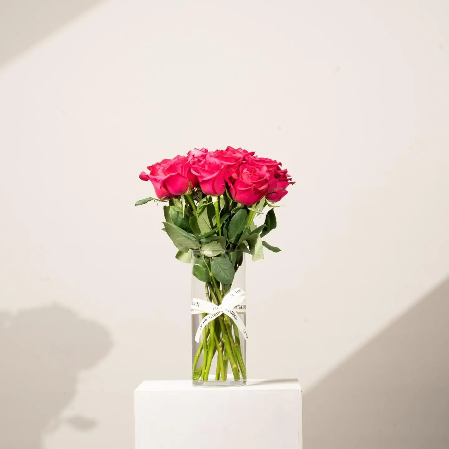 فازة فوشي روز