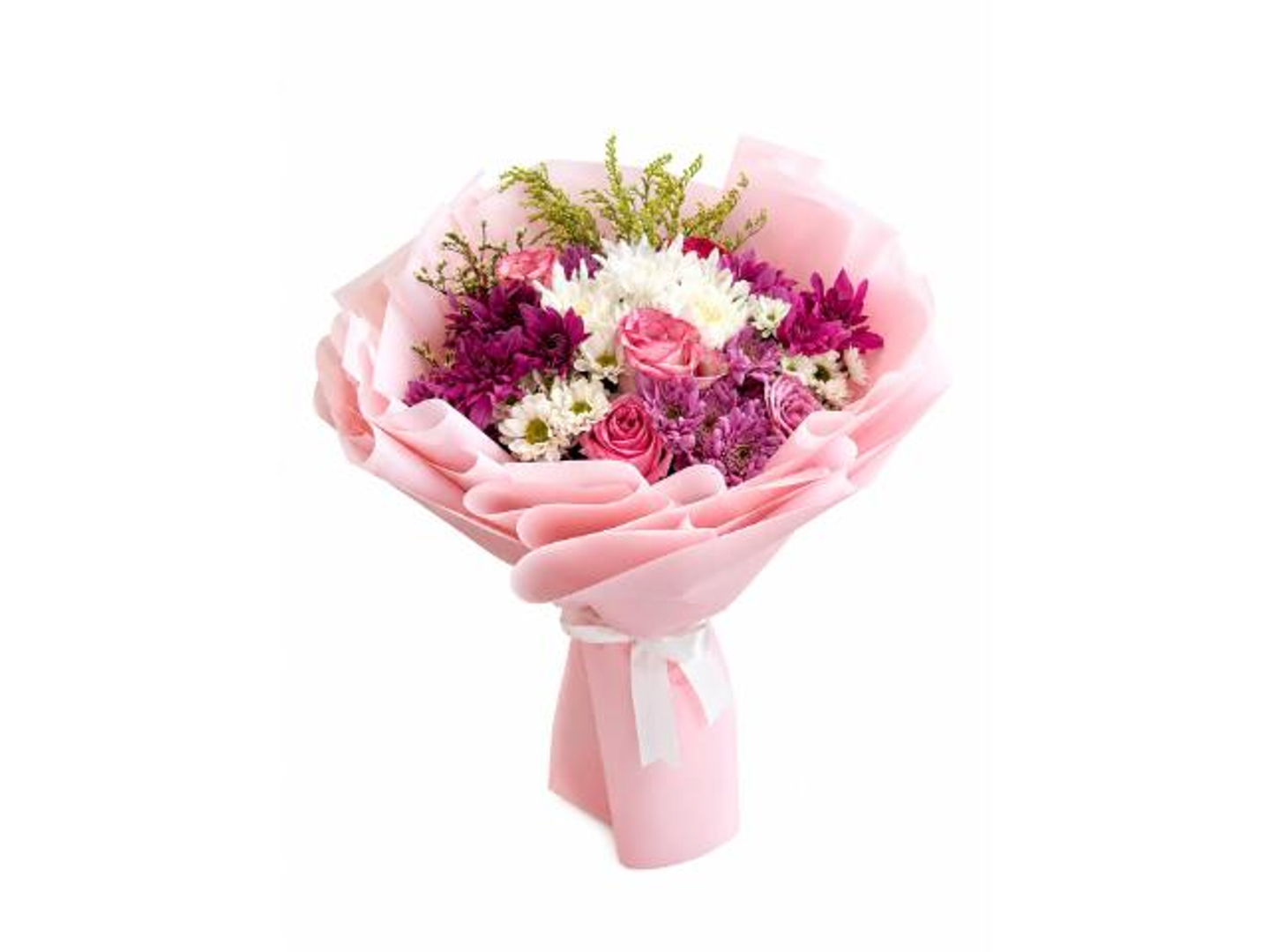 Spring Princess Rose
