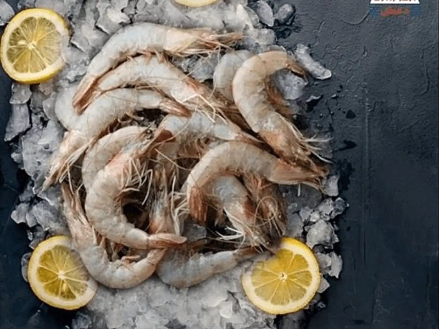 جمبري وسط 500 جرام