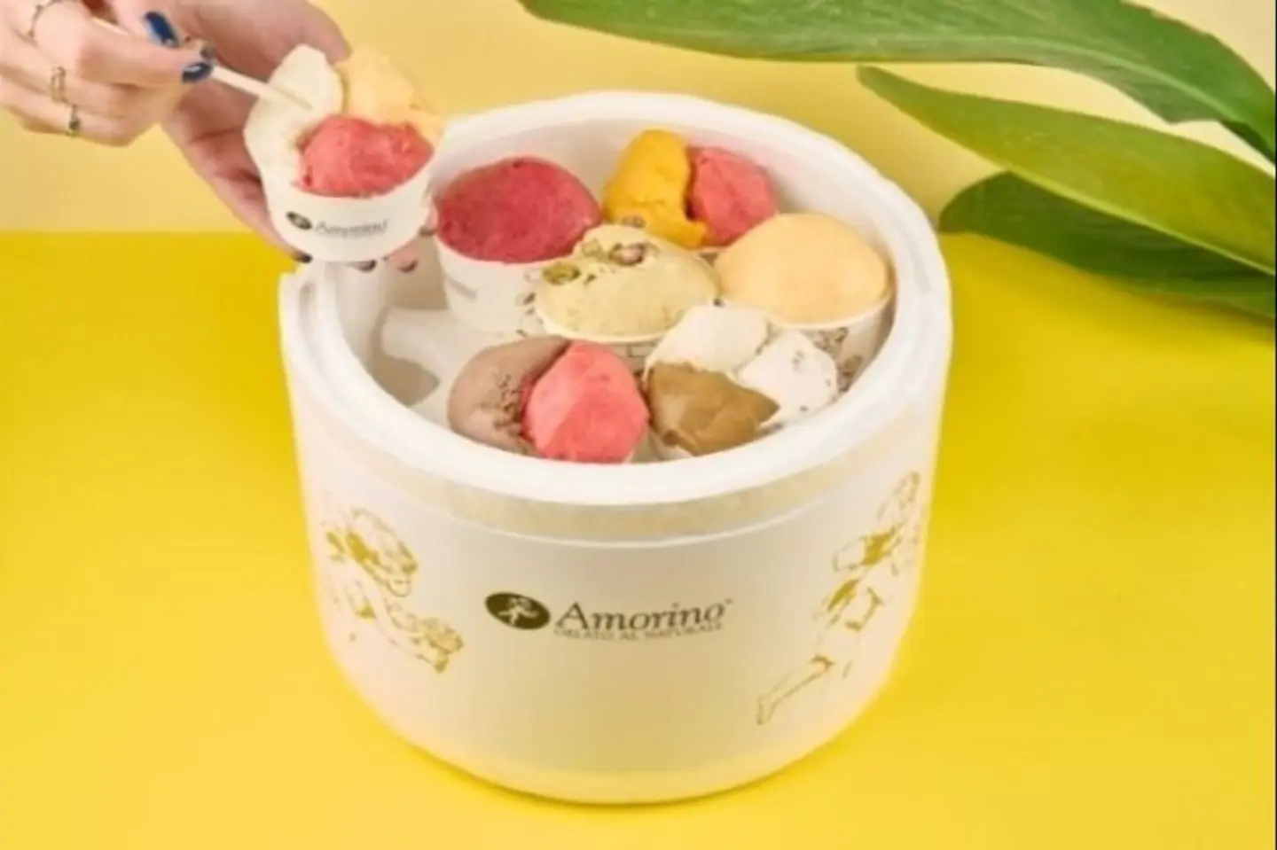Joy Box 7 Cups