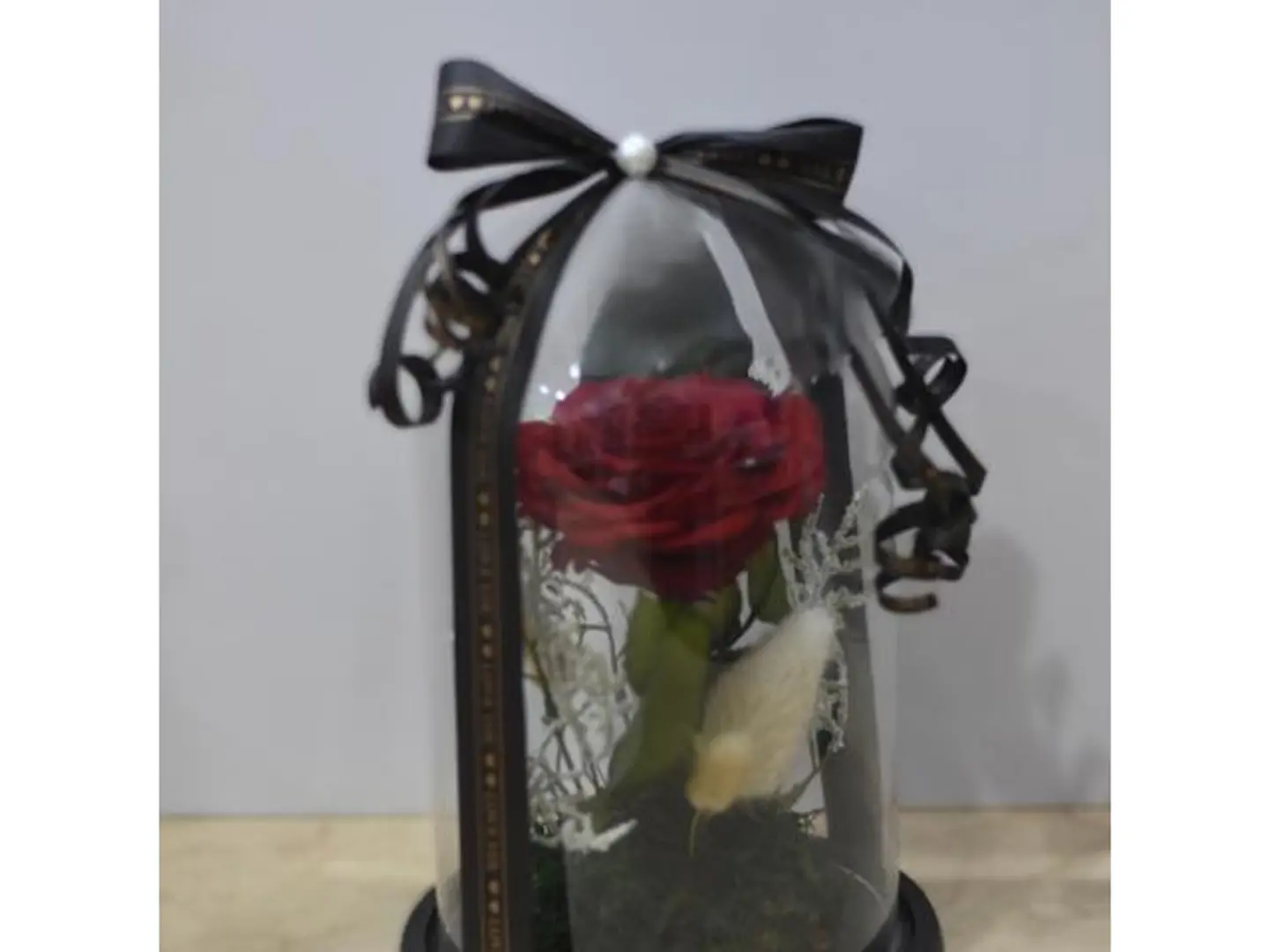 Large Red Perennial Rose