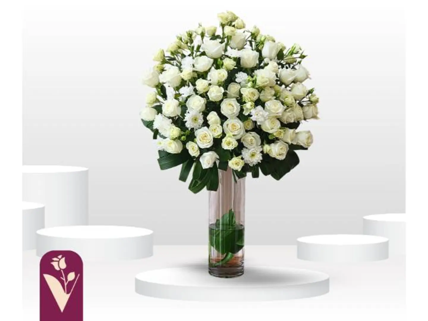 فازة روز مون