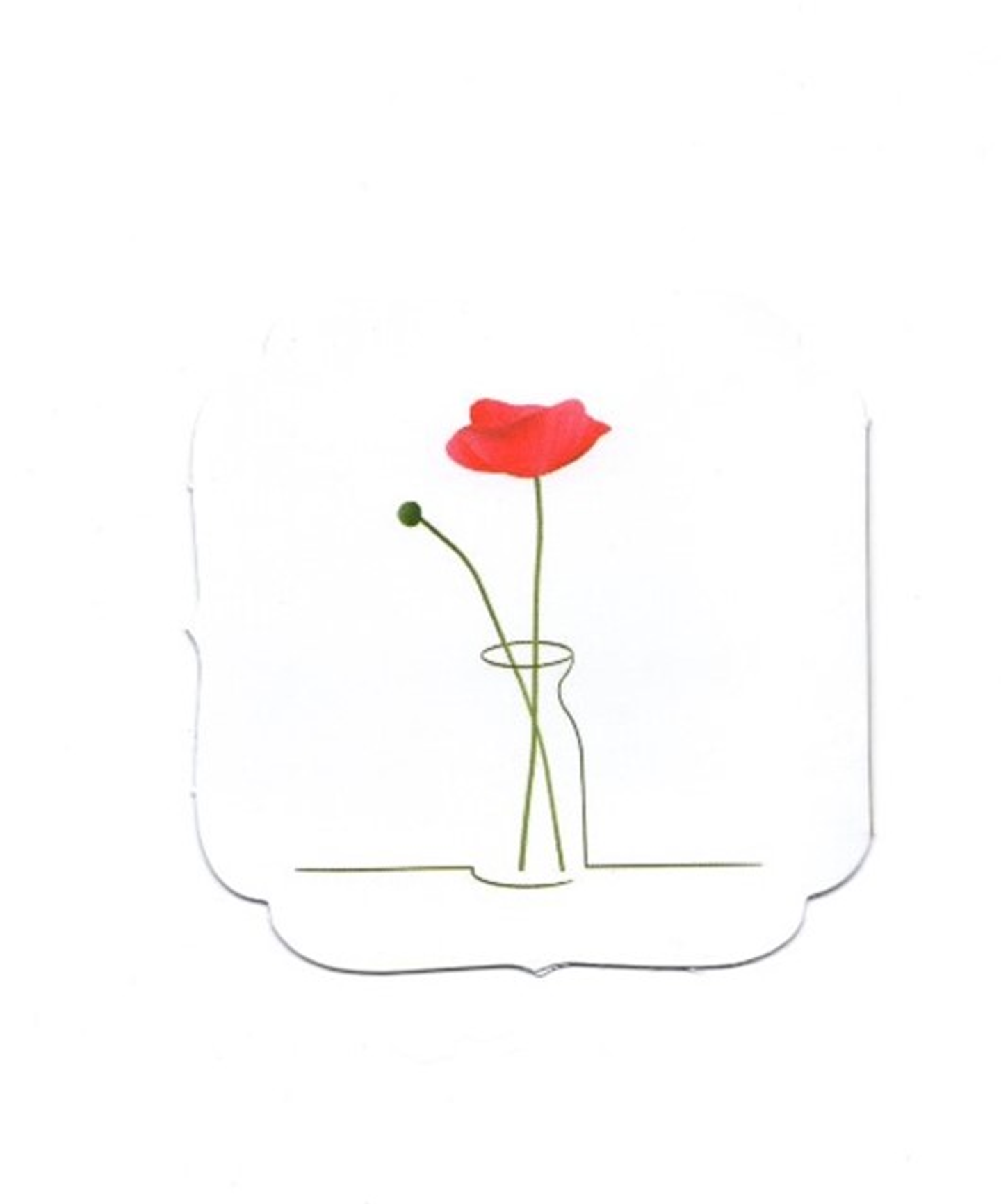 سادة  بدون عبارة