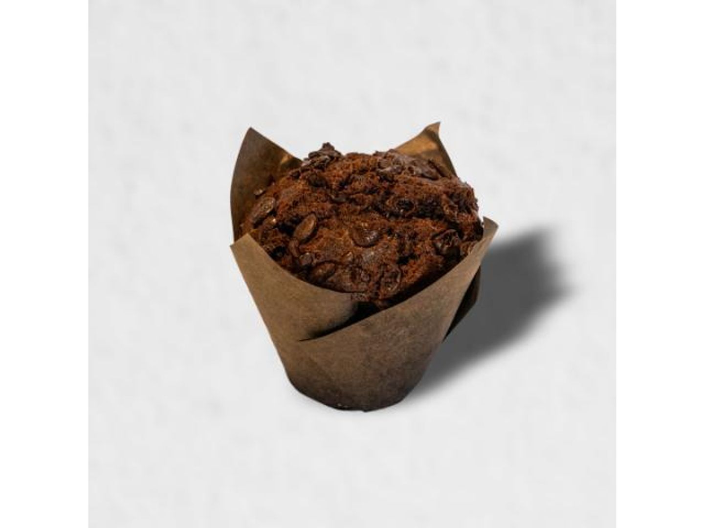 Chocolate Muffin