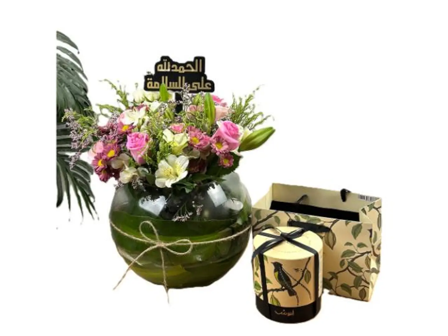 انوش وفازه ايلا