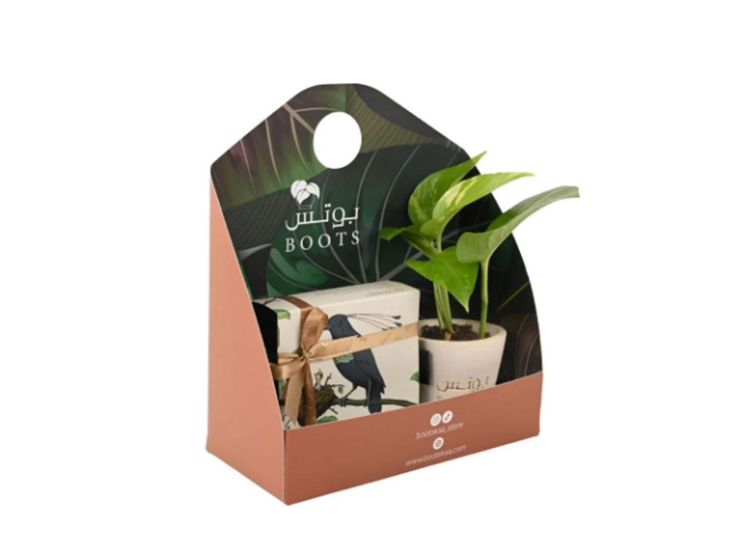 13 Anoush Plant And Chocolate