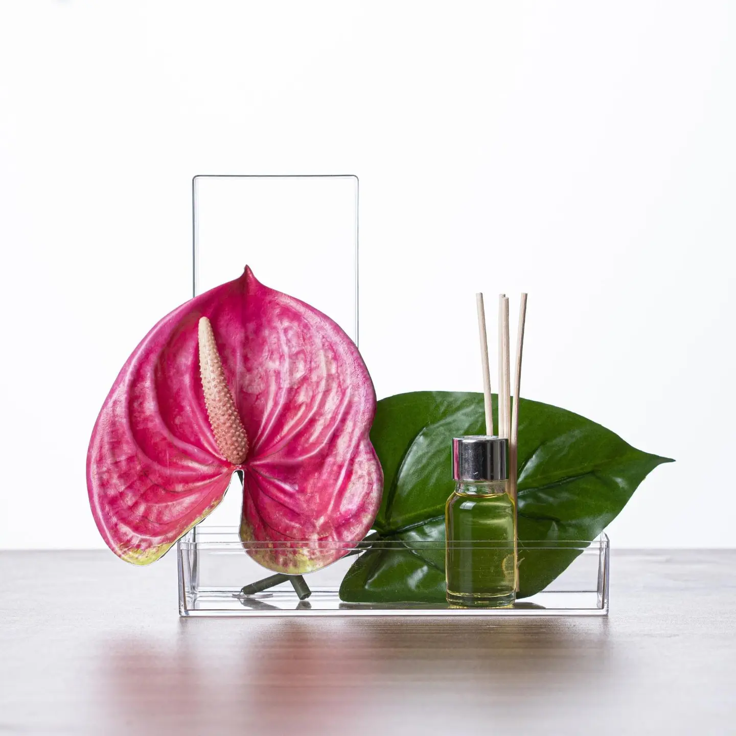 Fuchsia Flamingo Flower With Aroma